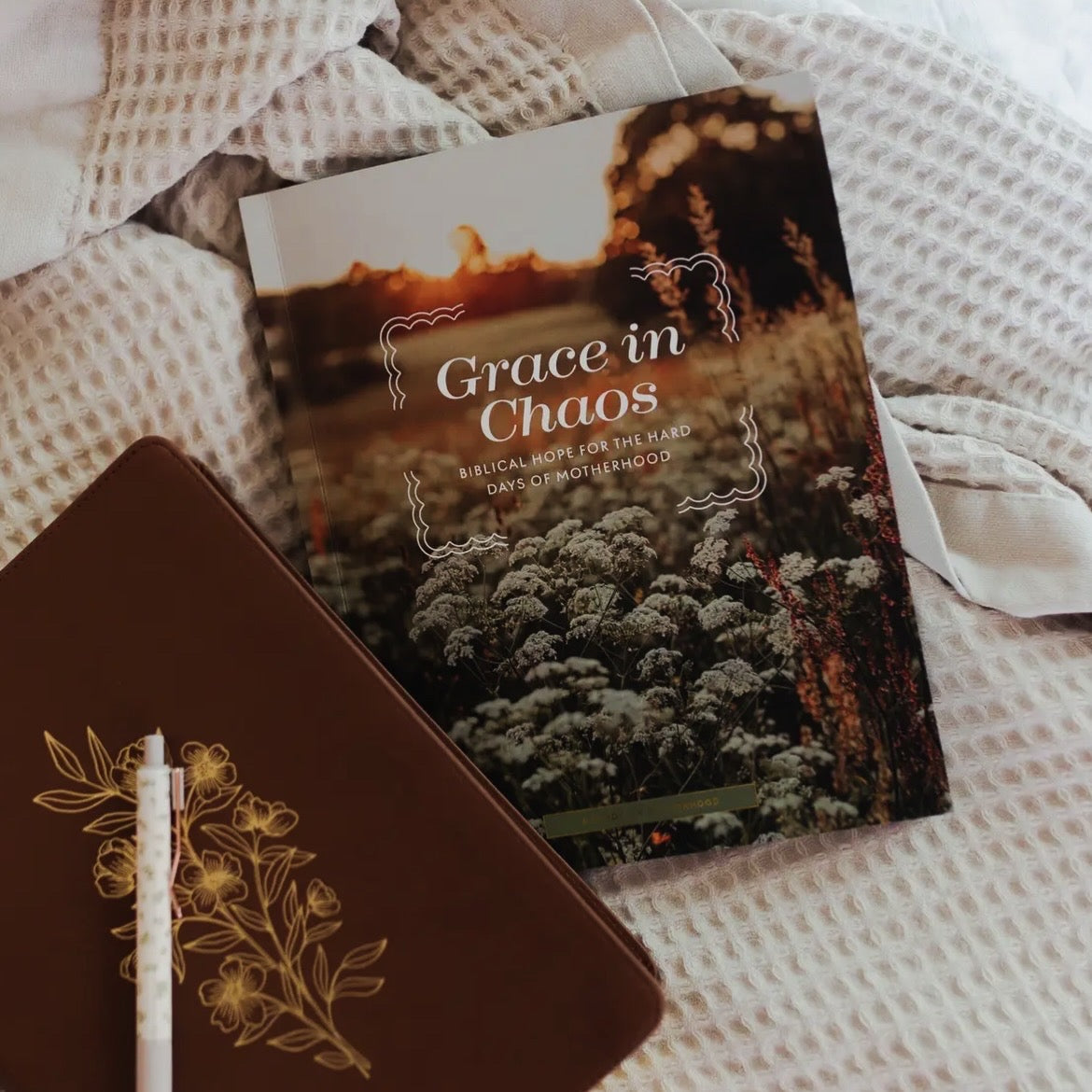 Grace in Chaos | Bible Study